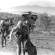 Unidentified U.S. Marines run from a HH-53C helicopter during the SS Mayaguez operation. Photo credit Wikimedia Commons